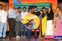 Uyyala Jampala Movie Audio Release Photos